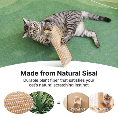 🔥 10,000 Sold This Week✨🐱Interactive Catnip Chew Toy