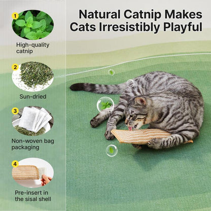 🔥 10,000 Sold This Week✨🐱Interactive Catnip Chew Toy
