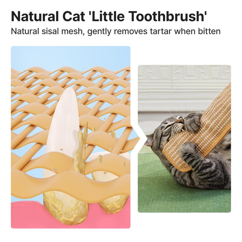 🔥 10,000 Sold This Week✨🐱Interactive Catnip Chew Toy