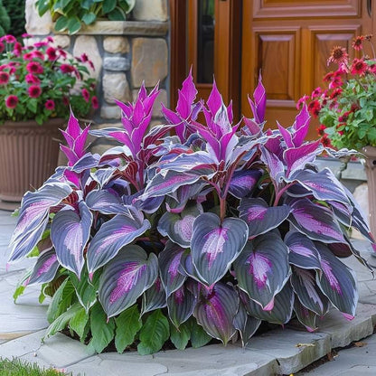 🔥Premium Rare Hosta Seeds🌿Shade-Tolerant Plant | Perfect for Beginners