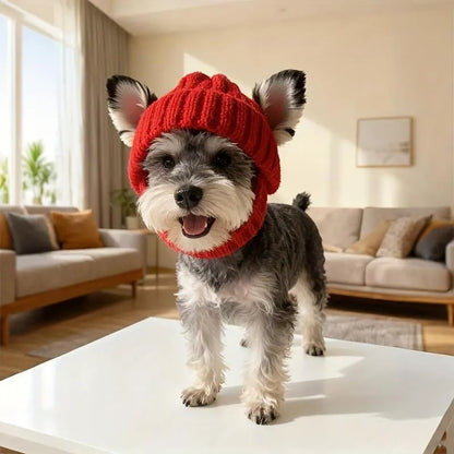 🔥 10,000 Sold This Week✨ - 🐾Red Wool Knit Dog Beanie with Ear Flaps – Warm Winter Hat